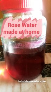 Rose water made at home 