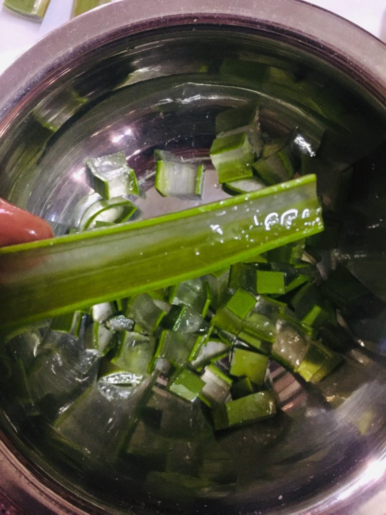 aloe vera sabzi