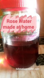Rose water made at home