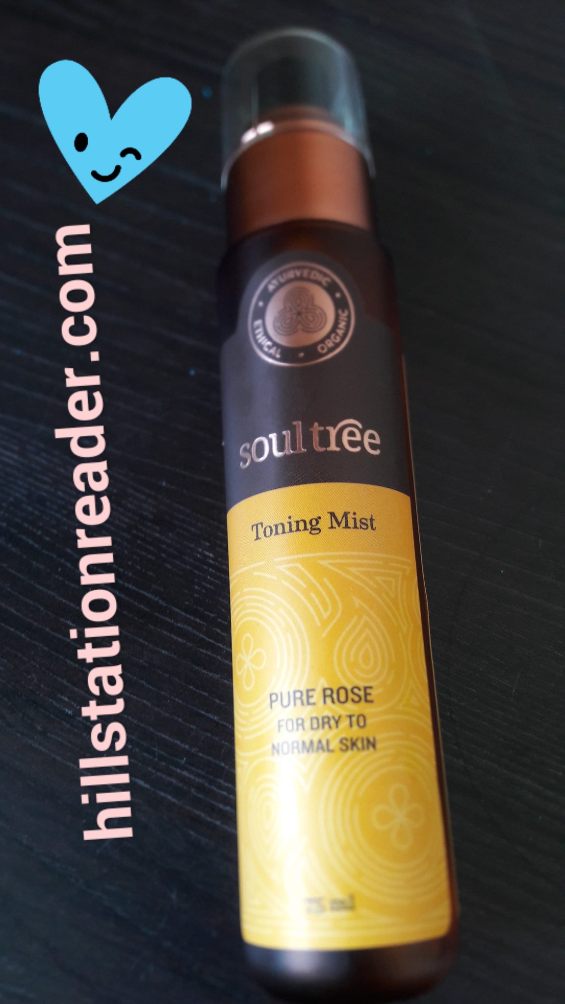 Soultree Toning Mist Review